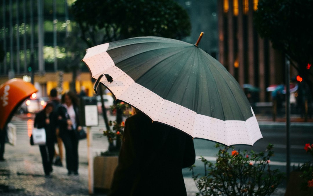 13 Jenis Payung Beserta Fungsinya